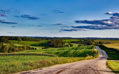 Lydon Solar: Harnessing The Sun With Solar Panels in Sparta, Wisconsin